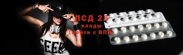 тгк Осинники
