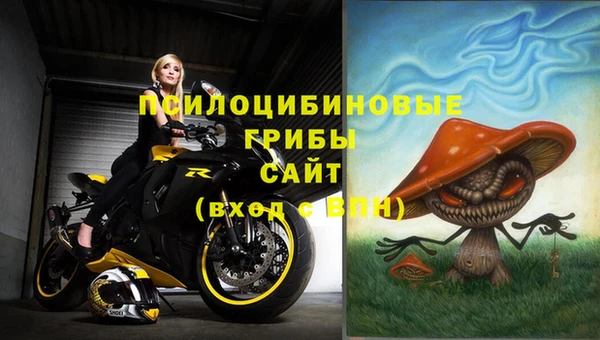 тгк Осинники