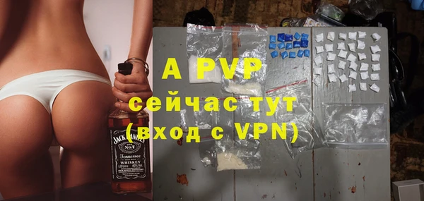шишки Нязепетровск