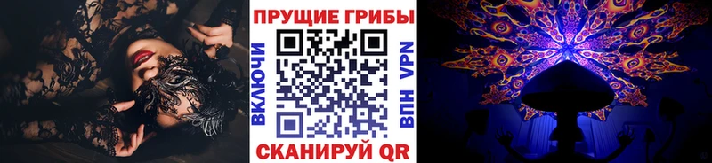 наркота  Луга  Галлюциногенные грибы Psilocybine cubensis 