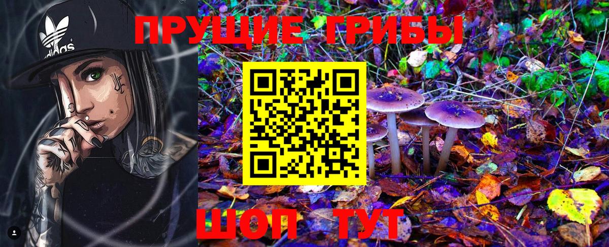 Псилоцибиновые грибы Cubensis  Псилоцибиновые грибы GOLDEN TEACHER  Луга  Вход с VPN 