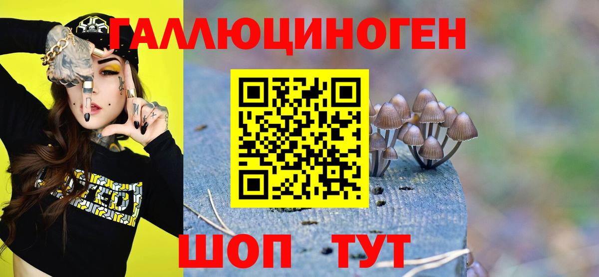 Галлюциногенные грибы мицелий Луга