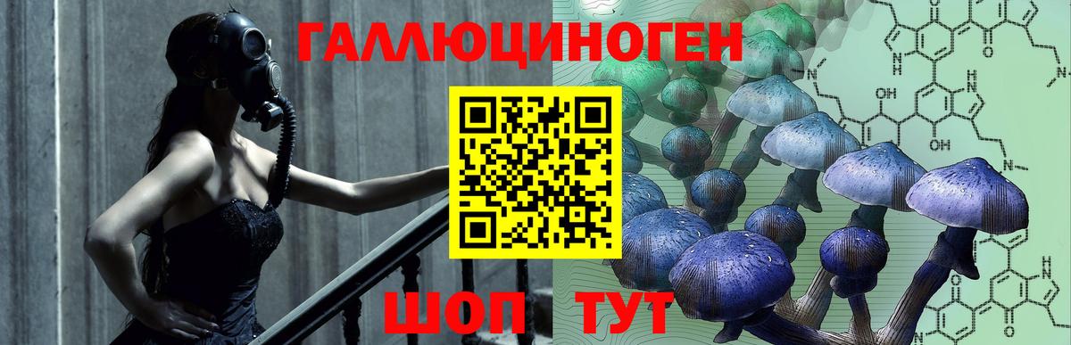 Псилоцибиновые грибы мухоморы Луга