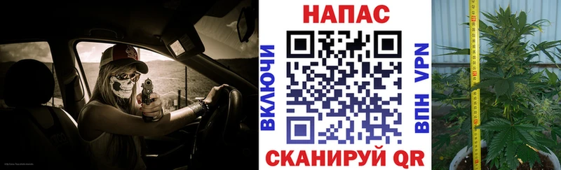 купить закладку  Луга  Каннабис OG Kush 